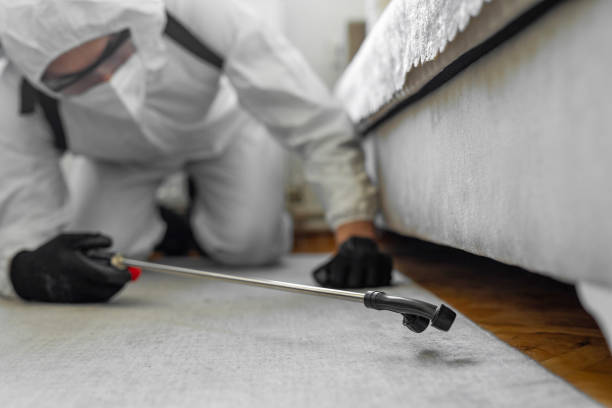 Professional Bed Bug Control technician working in West Crossett, AR