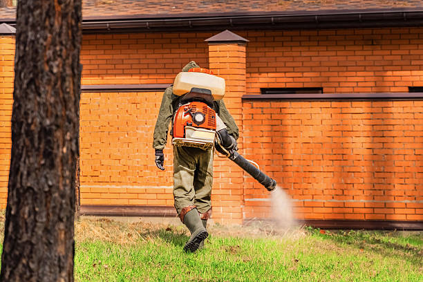 Trusted Mosquito Control service in West Crossett, AR - Nex Pest Control